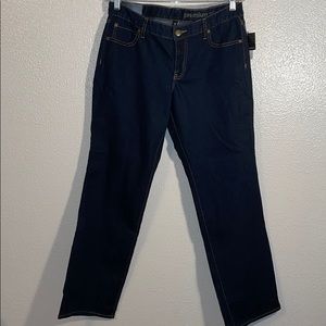 Premium Curvy Straight GAP Denim